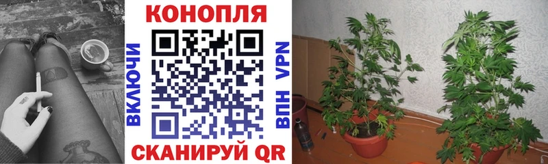 Купить Сухой Лог Конопля COCAIN ГАШИШ блэк спрут зеркало Мефедрон LSD-25