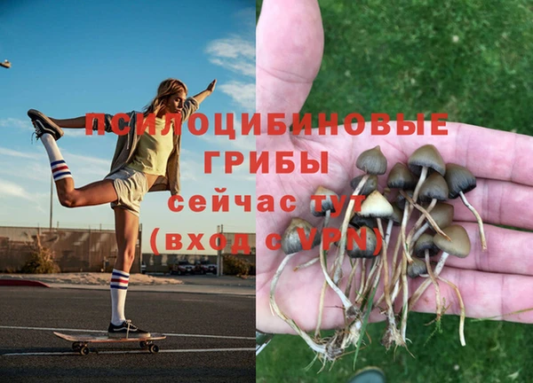 COCAINE Алзамай