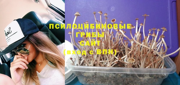 прущие грибы Алексеевка